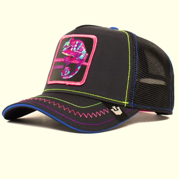 🎱SOLD OUT Limited Edition Goorin Brothers CHAMELEON Trucker Hat (Drip Capsule) - Picture 2 of 9